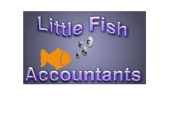 Little Fish Accountants Limited