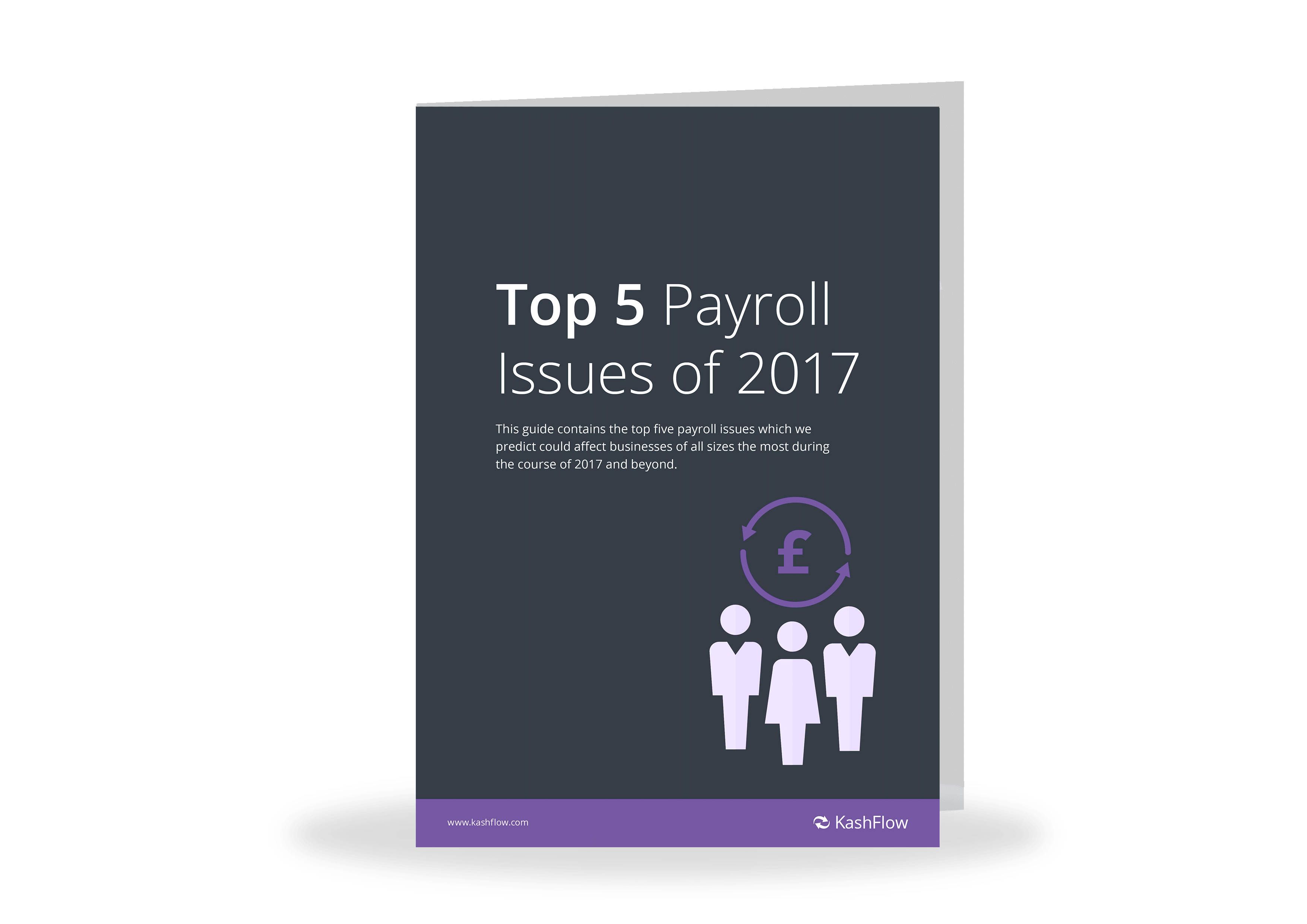 Top 5 Payroll Issues 2017